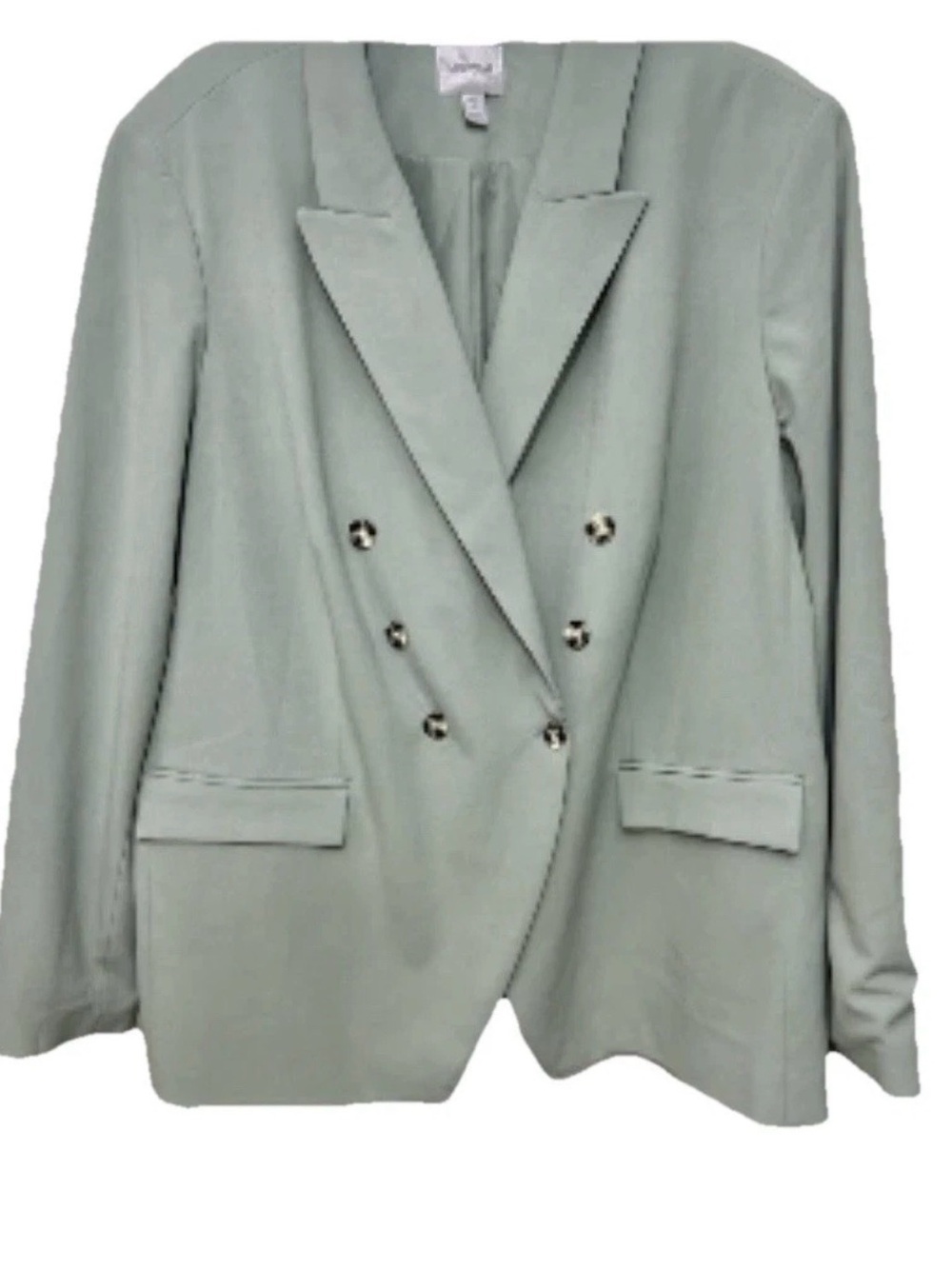 Nine West Double-Breasted Women’s Mint Green Blazer Jacket NWT 2X